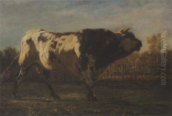 A Study Of A Bull In A Field Oil Painting by Emile van Marcke de Lummen