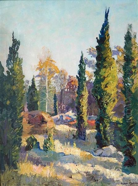 Landscape With Pine Trees Oil Painting by Peter Marcus