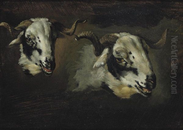 A Study Of Goat Heads Oil Painting by Nicasius Bernaerts