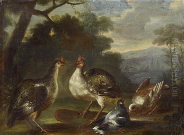 Wild Birds In A Forest Oil Painting by Nicasius Bernaerts