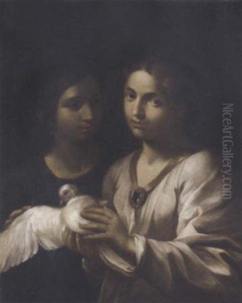 Two Girls With A Dove Oil Painting by Onorio Marinari