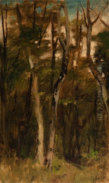 The Forest Oil Painting by Jacob Henricus Maris