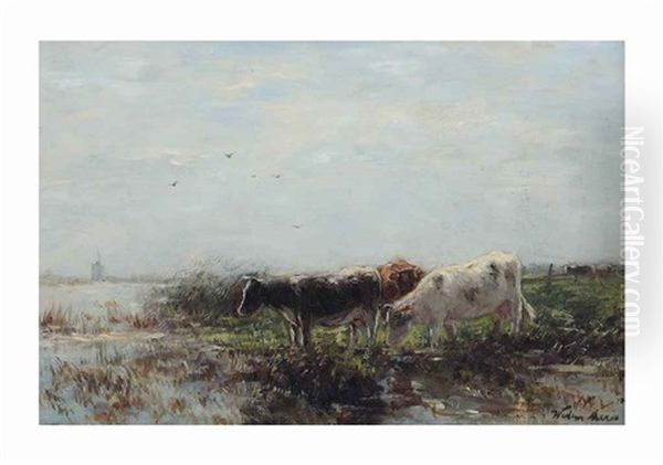 Cows On The River Bank Oil Painting by Willem Maris