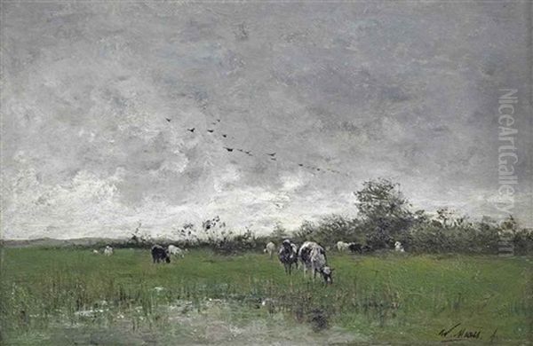 Cows Grazing In The Polder Oil Painting by Willem Maris