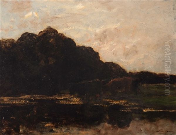 Cows By The Edge Of A Ditch by Willem Maris