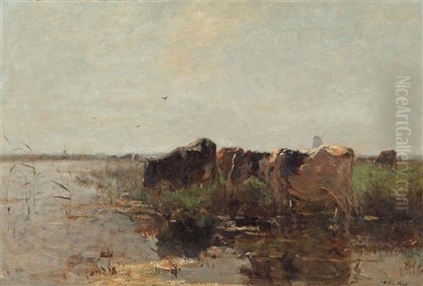 Cows Grazing Near A Stream Oil Painting by Willem Maris