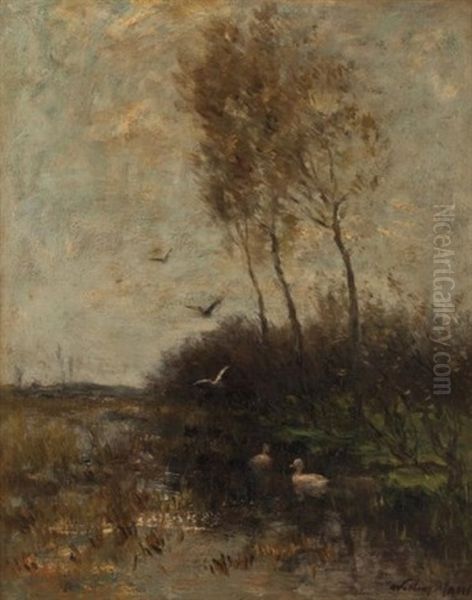 Ducks On A Pond by Willem Maris