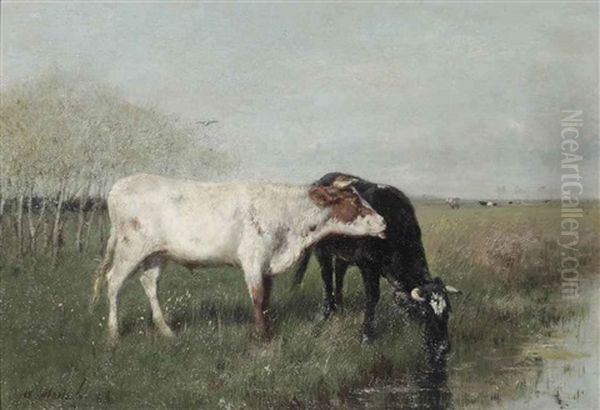 Koeien In De Weide: Cows In A Meadow Oil Painting by Willem Maris