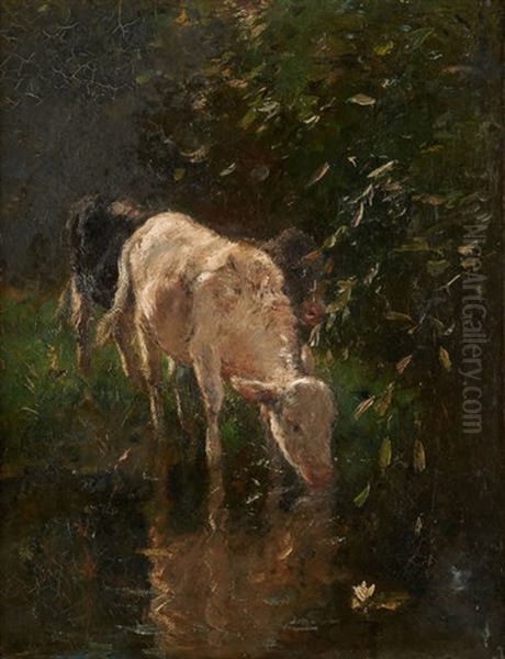 Veaux S'abreuvant Oil Painting by Willem Maris