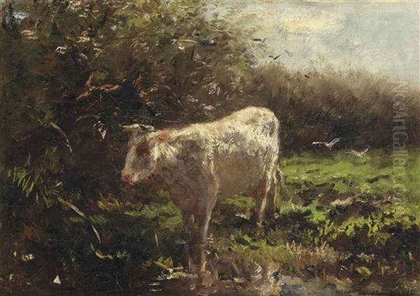 A Cow Near The Waterfront Oil Painting by Willem Maris