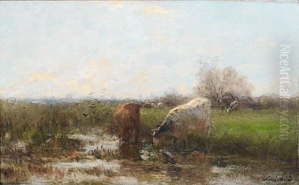 Cattle By Stream Oil Painting by Willem Maris