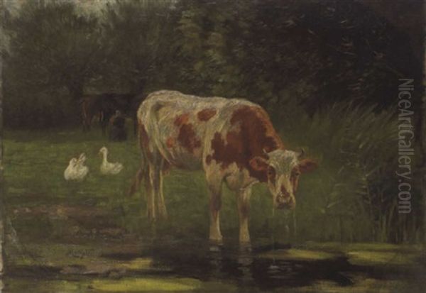 Vache Et Oies Sur Fond De Traie Oil Painting by Willem Maris