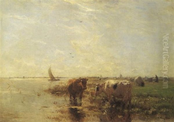 An Extensive River Scene With Cattle Watering In The Foreground Oil Painting by Willem Maris