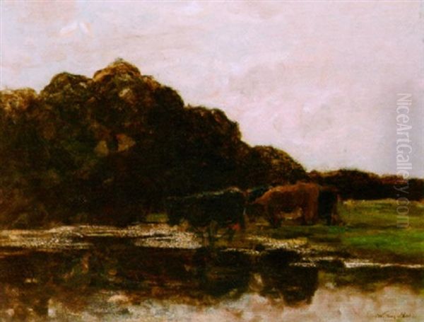 Cows Grazing Oil Painting by Willem Maris