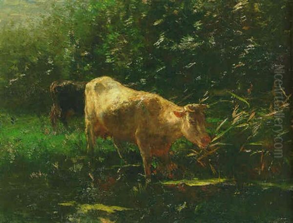 Watering In A Stream Oil Painting by Willem Maris