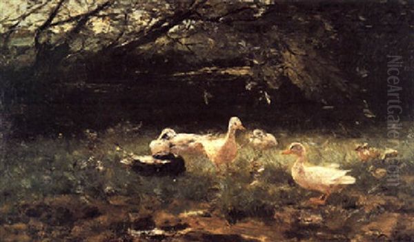 Ducks On A Riverbank Oil Painting by Willem Maris