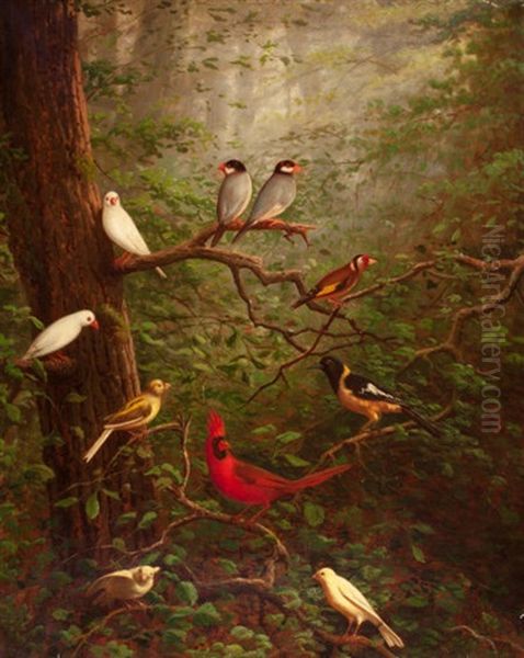 Woodland Birds Oil Painting by Charles Cole Markham