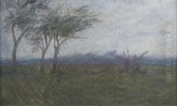 Wooded Landscape Oil Painting by Casimir (Count) Markievicz