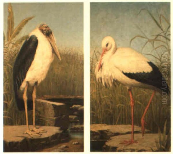 Studies Of Birds Oil Painting by Henry Stacy Marks