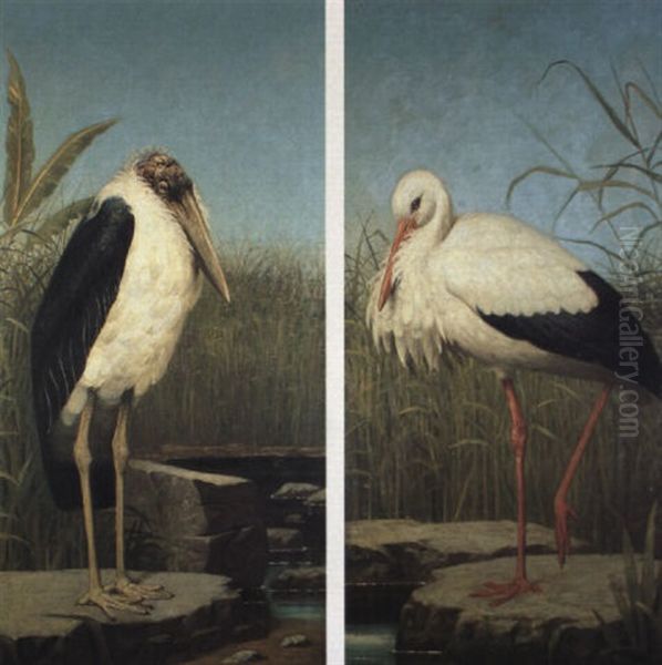 Studies Of Birds Oil Painting by Henry Stacy Marks