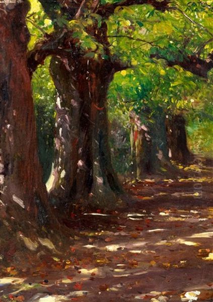 Sommerliche Allee by Carl von Marr