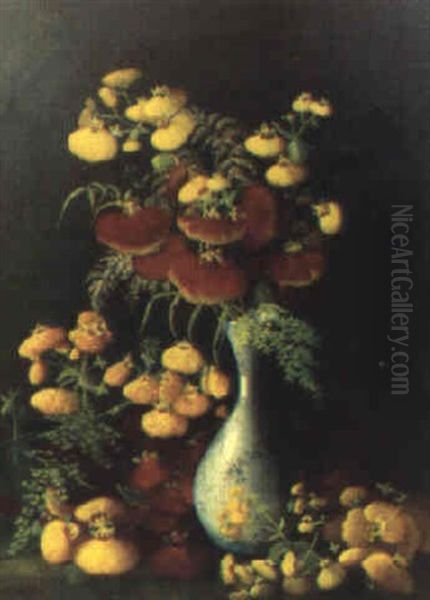 Calceo Laria (toffelblommor I Vas) Oil Painting by Sophie Marr