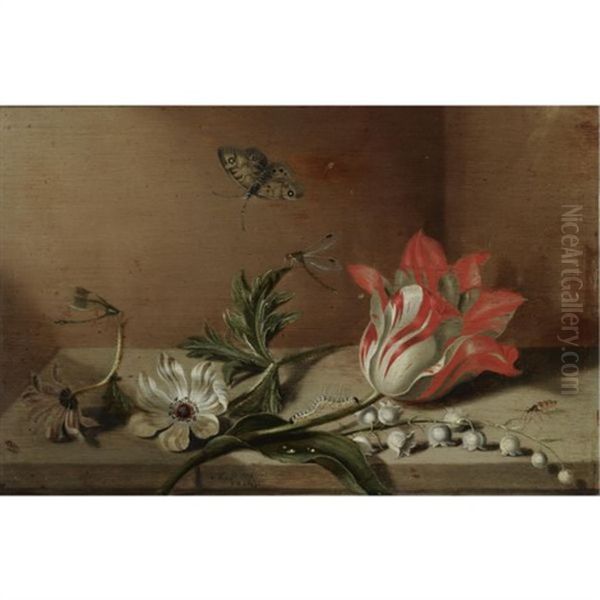 A Still Life With A Tulip, Anemones, Lily-of-the-valley, A Caterpillar, A Butterfly And Other Insects On A Wooden Ledge Oil Painting by Jacob Marrel