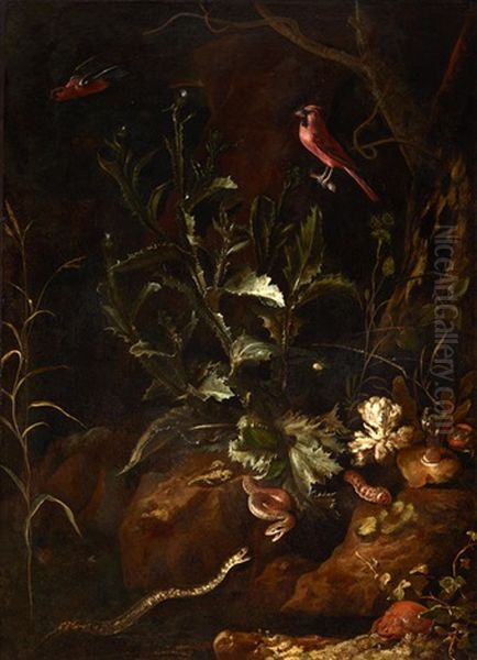 Grosses Stillleben Mit Zwei Schlangen, Krote, Spinne Und Anderen Kleintieren Oil Painting by Otto Marseus van Schrieck