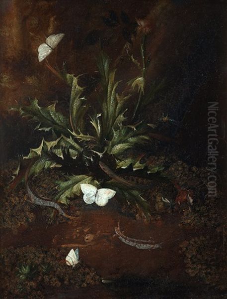 Still Life With Thistle, Lizards, Snails And Butterflies Oil Painting by Otto Marseus van Schrieck