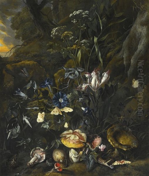 Forest Floor Still Life With Flowers, Mushrooms, Butterflies, A Snake, A Frog, And A Dragonfly Oil Painting by Otto Marseus van Schrieck