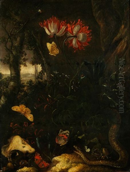 Waldstillleben Mit Blumen, Schmetterlingen Und Schlange Oil Painting by Otto Marseus van Schrieck