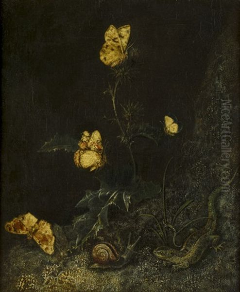 Waldstuck Mit Schmetterlingen, Schnecke Und Eidechse Oil Painting by Otto Marseus van Schrieck