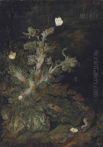 A Forest Floor With A Small White And Other Butterflies, A Snail, A Spider, A Snake And Other Insects Oil Painting by Otto Marseus van Schrieck