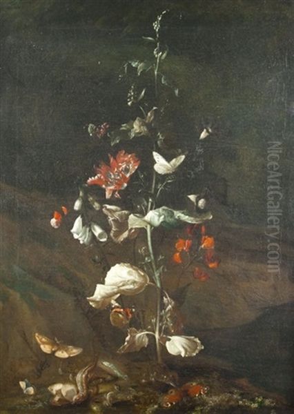 Blumenstilleben Mit Insekten Und Reptilien Oil Painting by Otto Marseus van Schrieck