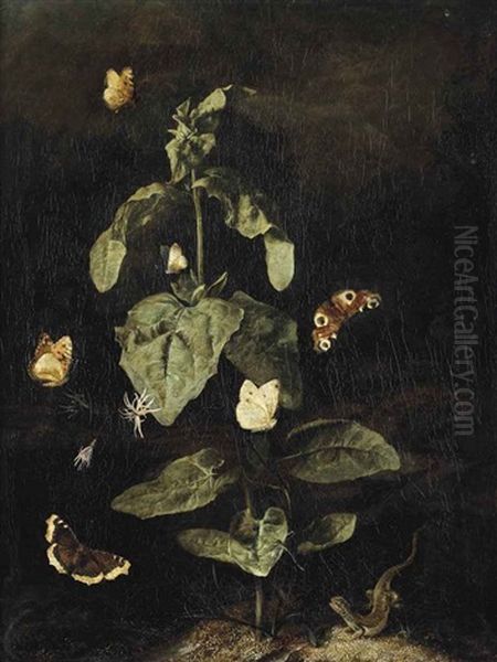 A Forest Floor Still Life With A Grand Surprise (nymphalis Antiopa), A Large Tortoiseshell (nymphalis Polychloros), A Small White (pieris Rapae)... Oil Painting by Otto Marseus van Schrieck