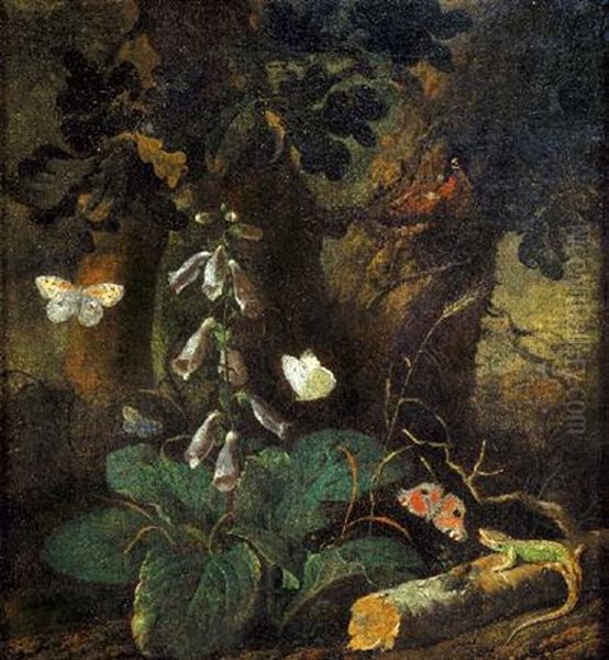 Sottobosco Oil Painting by Otto Marseus van Schrieck