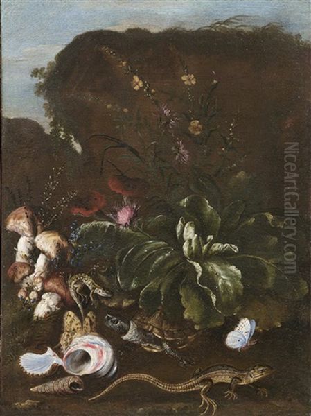 Sous-bois-stillleben Mit Einer Distel Und Weiteren Blumen, Pilzen, Reptilien, Schmetterlingen Und Muscheln Oil Painting by Otto Marseus van Schrieck