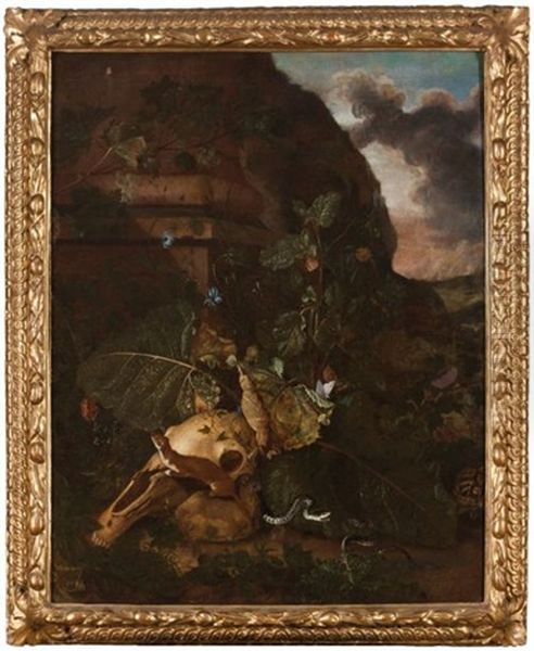 Sous-bois Anime De Papillons, Serpent Et Petits Animaux Oil Painting by Otto Marseus van Schrieck