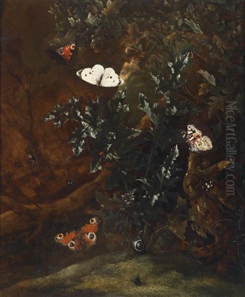 Sous-bois-stillleben Mit Schmetterlingen, Einer Schnecke Und Einer Fliege An Einer Distel Oil Painting by Otto Marseus van Schrieck