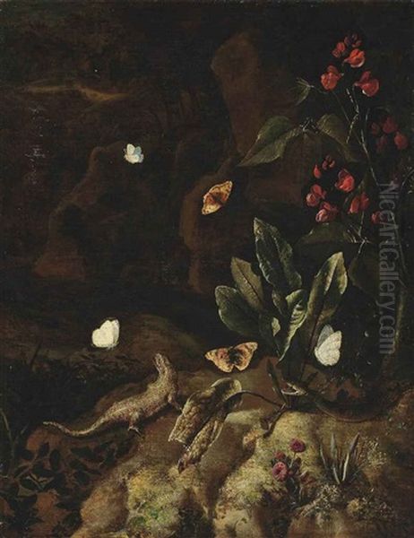 A Forest Floor With A Snake, A Lizard, Butterflies, A Bleeding Heart And Tagetes Oil Painting by Otto Marseus van Schrieck