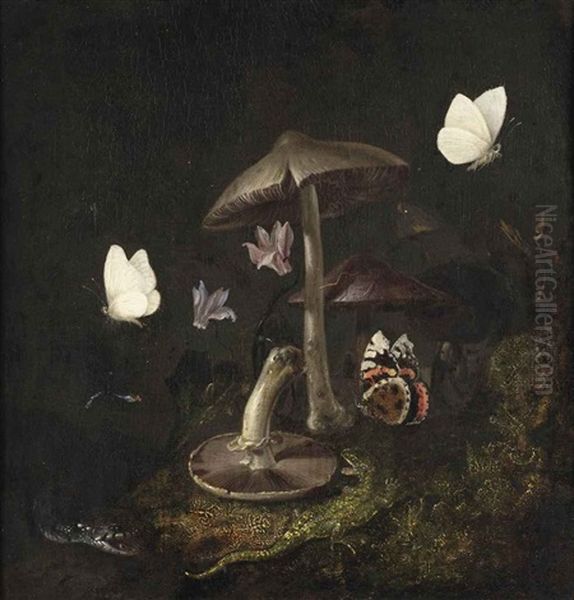 A Sotto Bosco With Mushrooms, Butterflies, A Dragonfly, A Snake And A Lizard Oil Painting by Otto Marseus van Schrieck