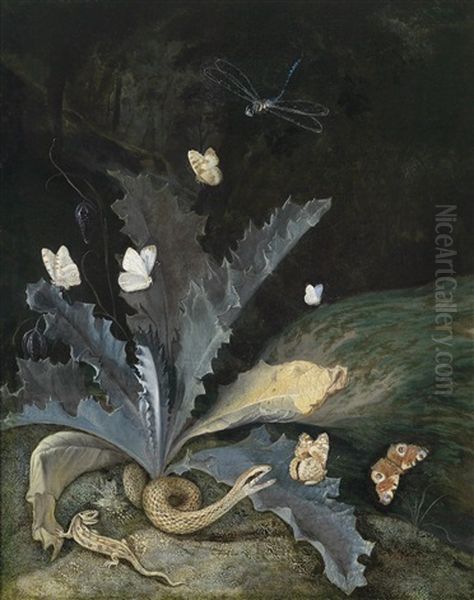 Ein Rasenstuck, Unter Einer Distel Eine Schlange, Eine Eidechse Und Eine Schnecke Oil Painting by Otto Marseus van Schrieck