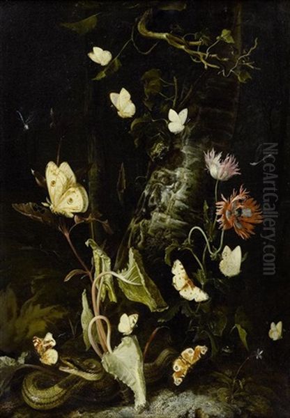 Waldstilleben Mit Schmetterlingen, Schlange, Frosch Und Libelle Oil Painting by Otto Marseus van Schrieck