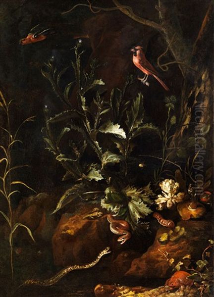 Grosses Stilleben Mit Zwei Schlangen, Krote, Spinne Und Anderen Kleintieren Oil Painting by Otto Marseus van Schrieck