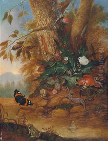 Sous-bois-stillleben Mit Schmetterling, Libelle, Eidechse Und Frosch by Otto Marseus van Schrieck