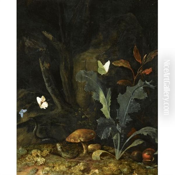 Nocturnal Forest Landscape With A Thistle, Chestnuts And Mushrooms, A Viper, Three Moths And A Dragon-fly Oil Painting by Otto Marseus van Schrieck