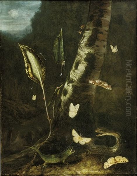 A Forest Floor With A Lizard, A Snake And Butterflies Oil Painting by Otto Marseus van Schrieck