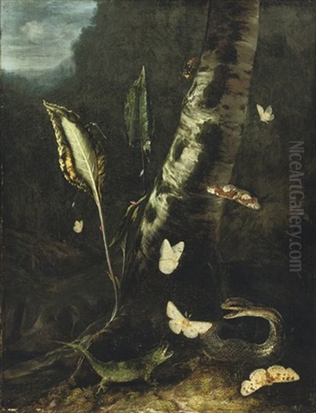 A Forest Floor With A Lizard, A Snake And Butterflies Oil Painting by Otto Marseus van Schrieck