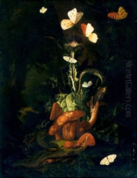 Nature Morte, Insectes Et Papillons Oil Painting by Otto Marseus van Schrieck