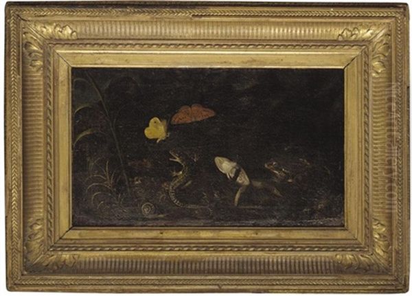 A Forest Floor With Frogs, A Lizard, A Snail And Butterflies Oil Painting by Otto Marseus van Schrieck